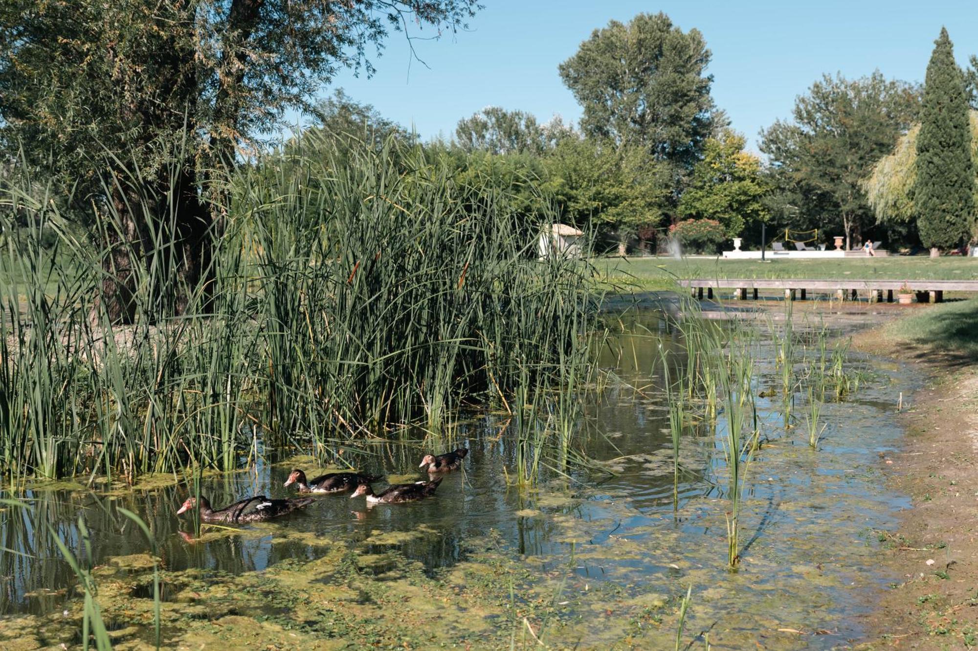 Mas Du Versadou, Dans Un Espace Naturel Protege, Piscine Couverte Chauffee Toute L'Annee, Spa Et Salle De Jeux Saint-Gilles  Εξωτερικό φωτογραφία